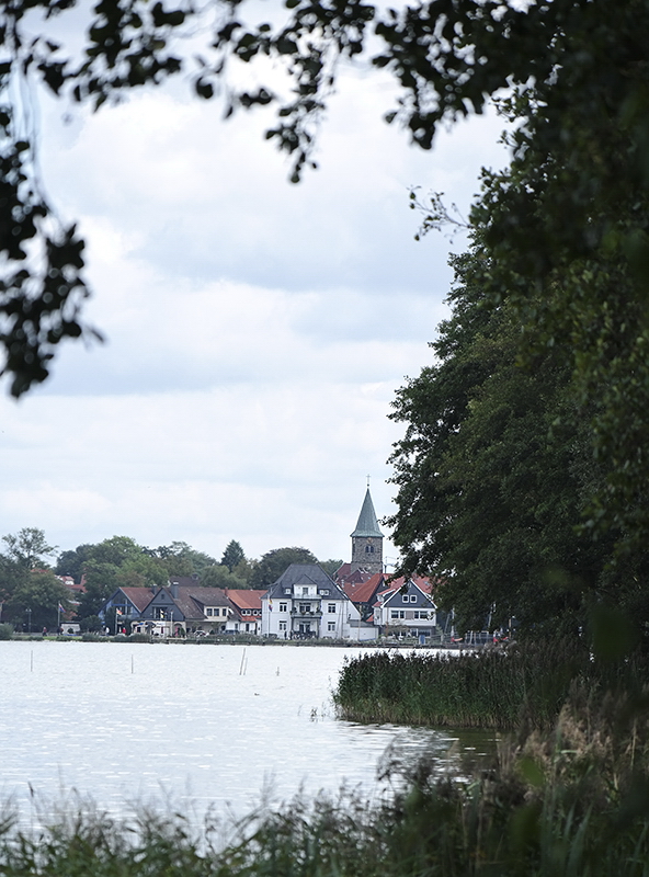 Mecklenburgische Seenplatte SAM_4566 Kopie.jpg - Von Steinhude aus kann man am Ufer lang ausgiebige Spaziergänge machen